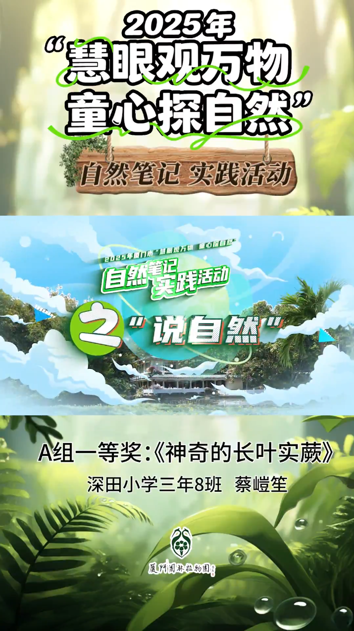 《神奇的长叶实蕨》：2025年厦门市自然笔记活动获奖作品（“与科学家同行鹭岛计划”）