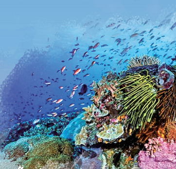 金翔龙院士：叩问深海秘境 ，守护生命之源